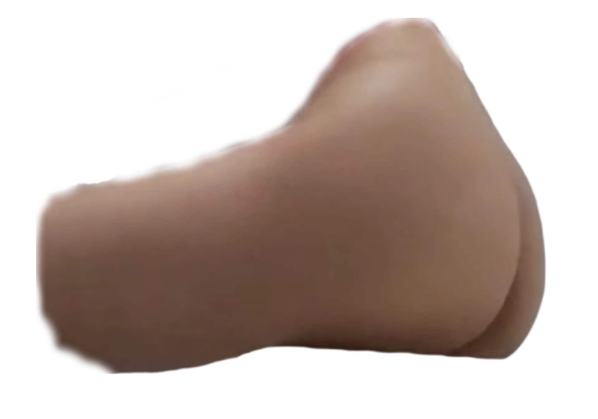 1000066070.webp