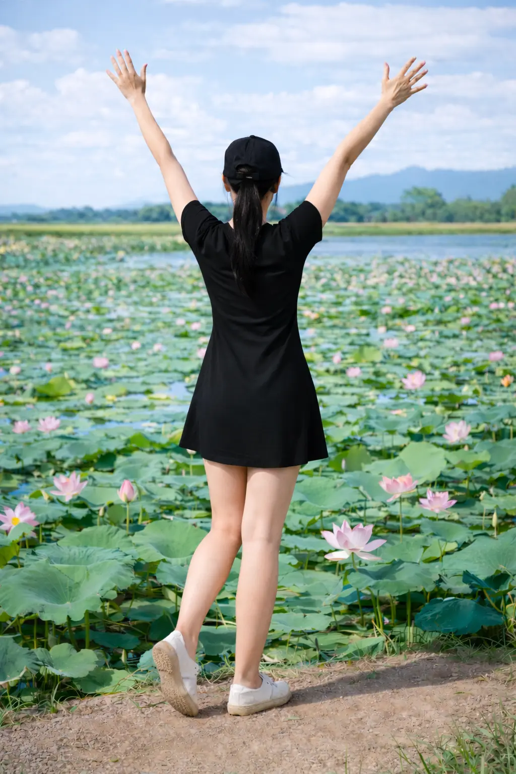 12334.webp