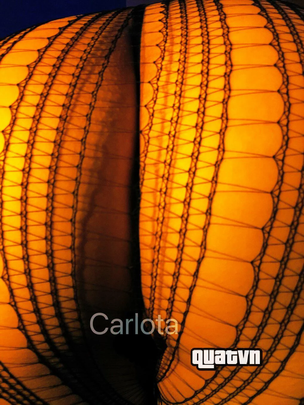 Carlota_sco-Collection-60.webp