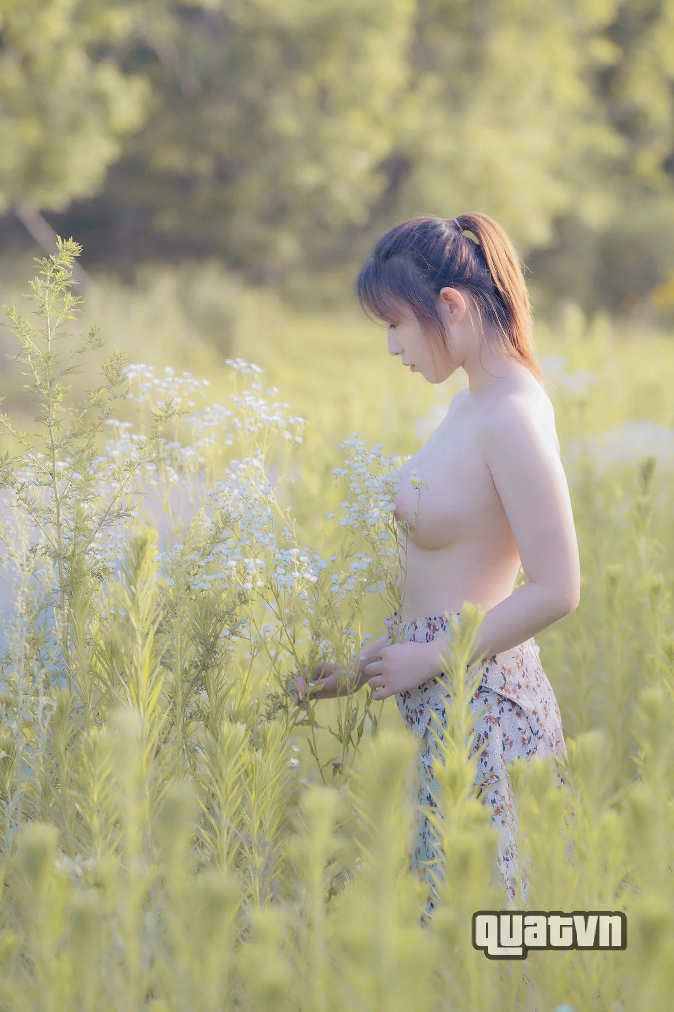Newxiaonew-Collection-12.webp