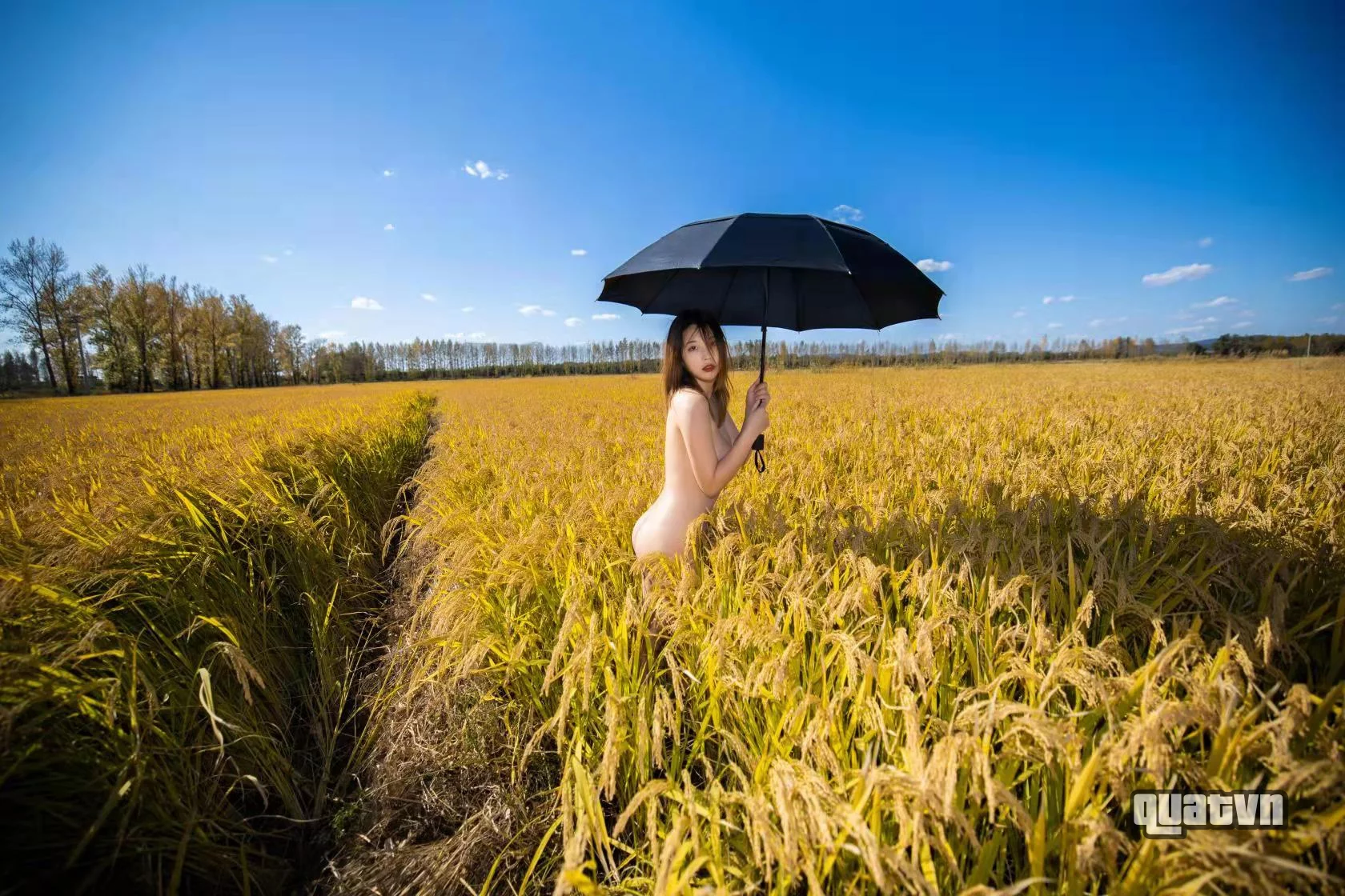 Newxiaonew-Collection-73.webp